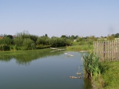 2000, Sluňákov Horka nad Moravou, novostavba